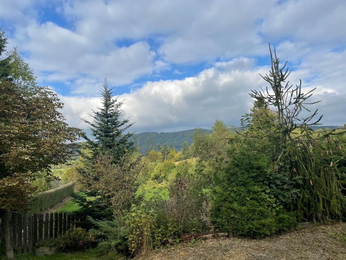 Sielska * Czarna (Bieszczady)